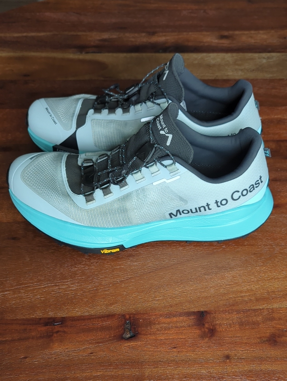 Mount To Coast T1 Hiking Trail Shoe - Snow Line - Picture 7 of 14